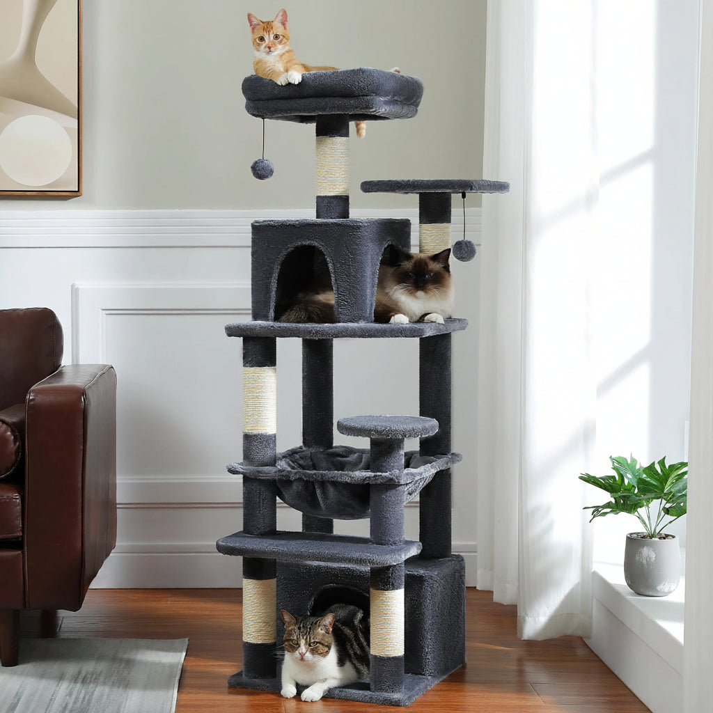 Arbre à chat