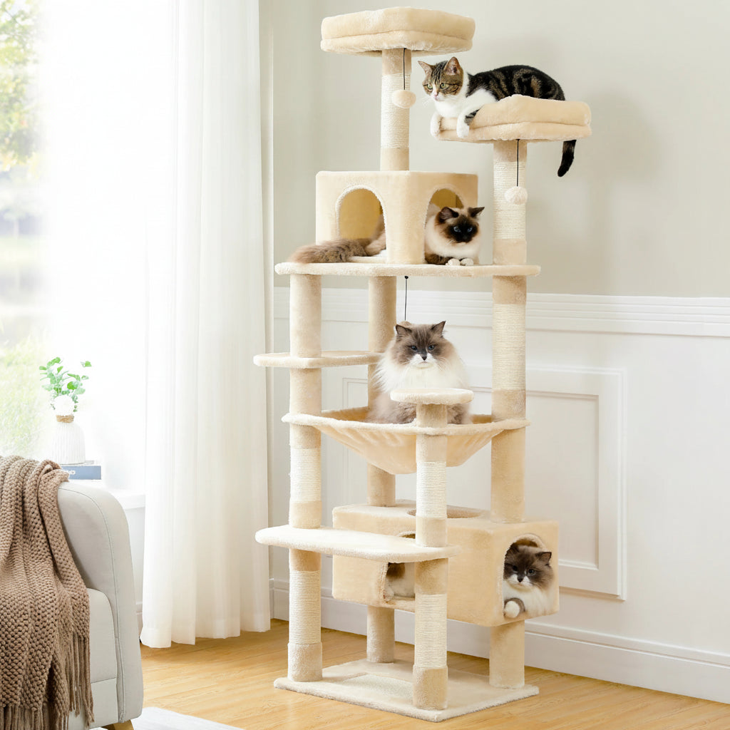 Arbre à chat