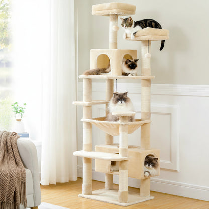 Arbre à chat